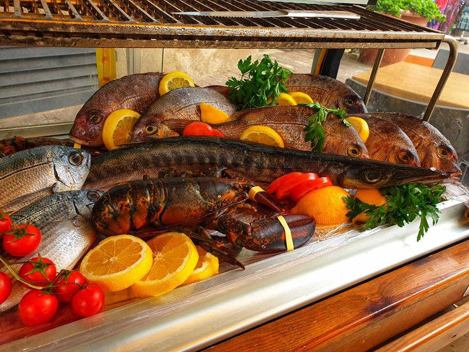 Fresh fish display at Moby Dick Xlendi Gozo