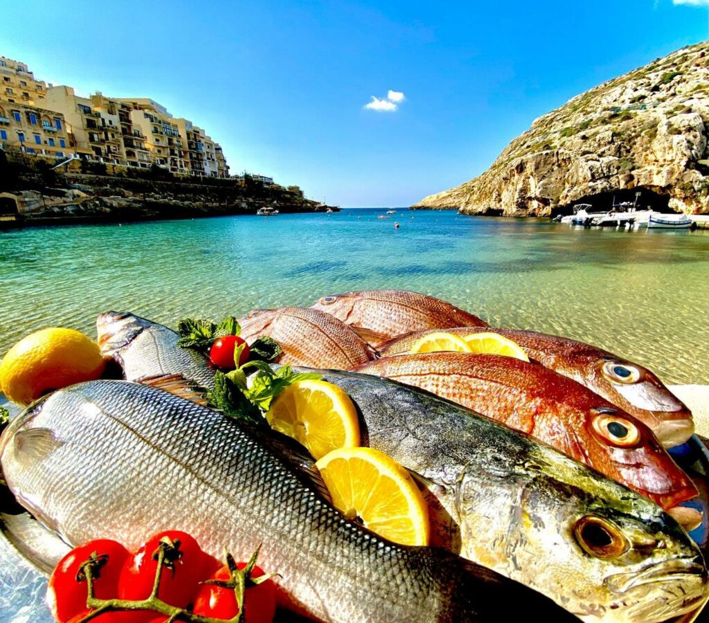 Catch of the Day at MobyDick Seafood Restaurant in Xlendi Gozo