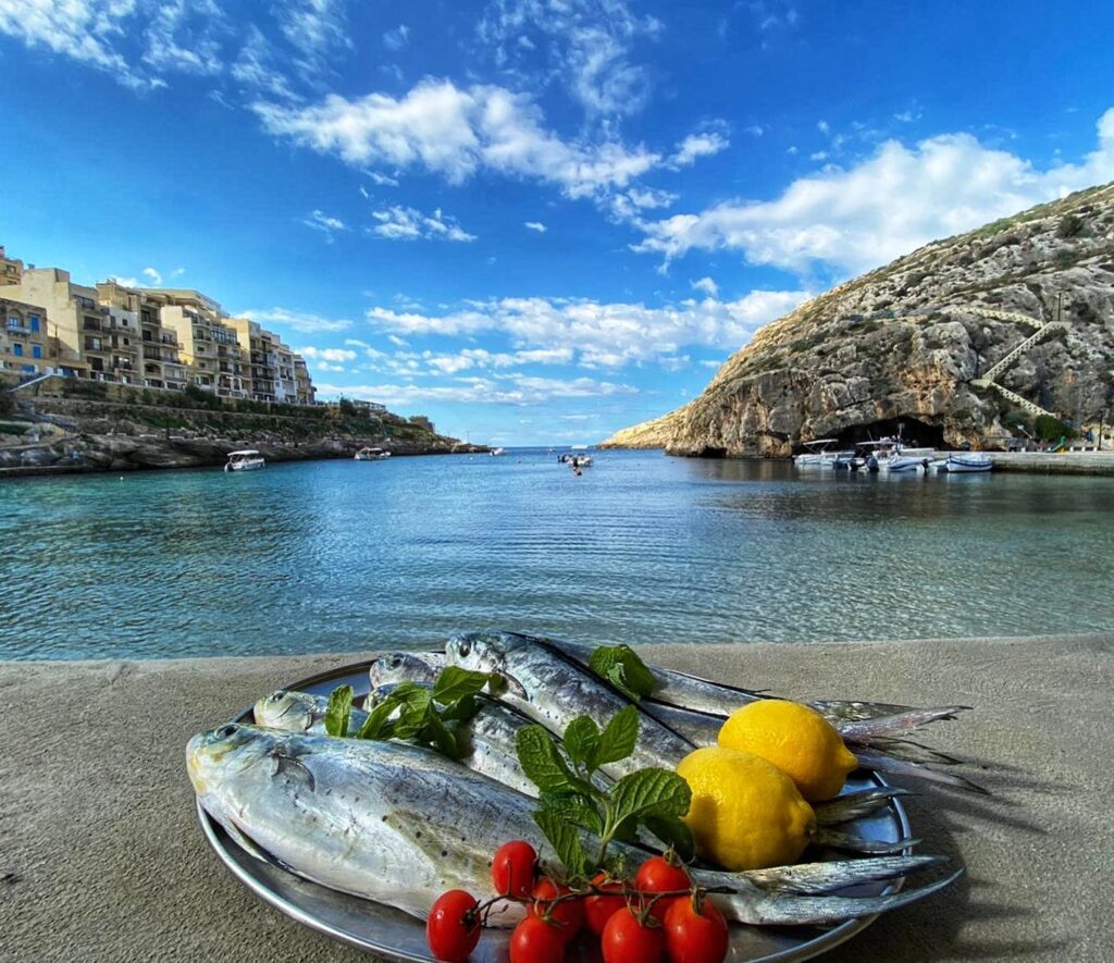 Catch of the Day at MobyDick Seafood Restaurant in Xlendi Gozo